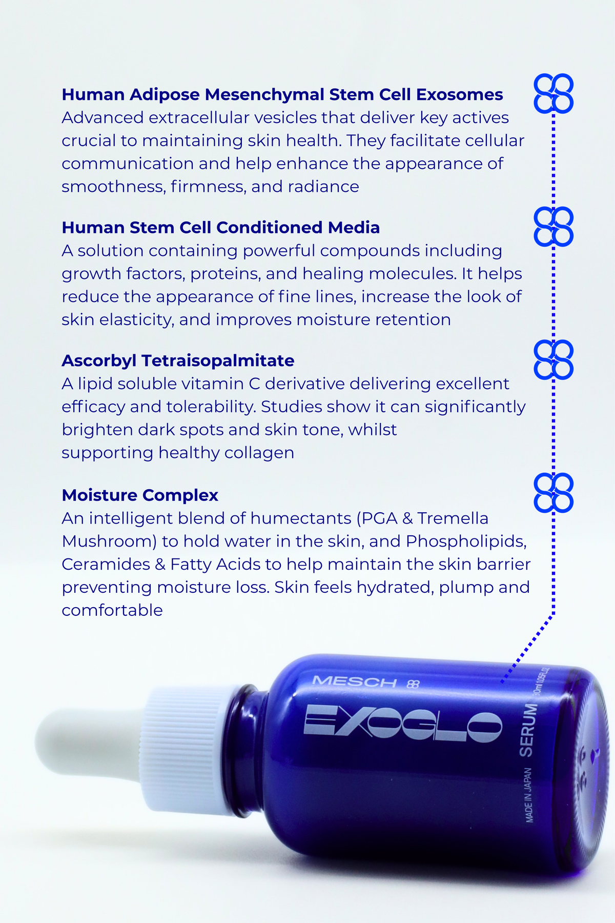 Graphic listing EXOGLO Serum's four key ingredients beside the bottle